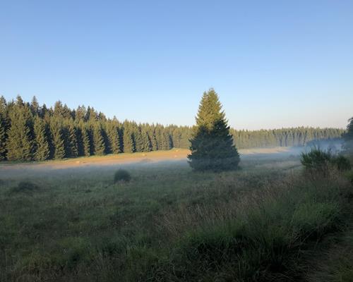 Umgebung - Inhalt